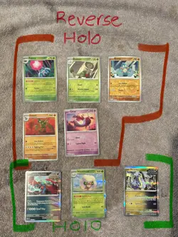 Pokemon Temporal Forces Holo And Reverse Holo Bulkk Lot X8 English Cards NM - Image 1