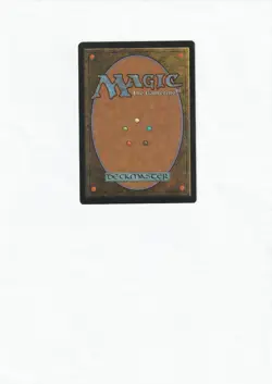 Quirion Ranger-Vision Edition-1996-Magic MTG-good - Image 2