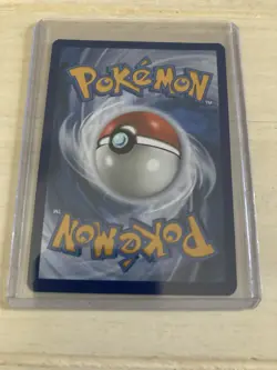 Squirtle Illustration Rare Holo Pokemon Stellar Crown 148/142 - Image 4