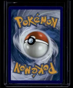 Pokemon TCG Turtwig 040 Mega Evolution Promo NM E - Image 2