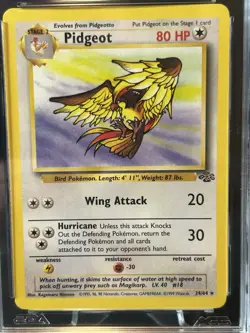1999 Pokemon Jungle Pidgeot #24 Non-Holo AGS 9.5 Mint+ WOTC Vintage - Image 5