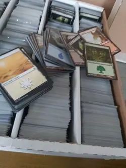 500 Magic the Gathering Basic Land Cards Lot - 100 of each type - - Image 1