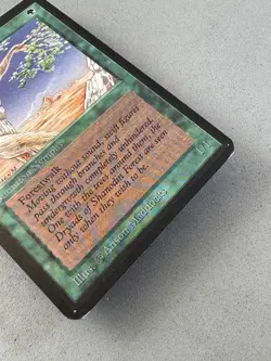 Shanodin Dryads MTG Alpha—Moderately Played Excellent—Vintage Magic - Image 4