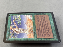 Shanodin Dryads MTG Alpha—Moderately Played Excellent—Vintage Magic - Image 5