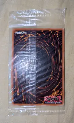 Dark Paladin DMG-001 Sealed Secret Rare Yu-Gi-Oh! - Image 2
