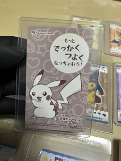 Pokemon Pikachu Poncho Master Set 2015 Business Card Collection Folder rayquaza - Image 3