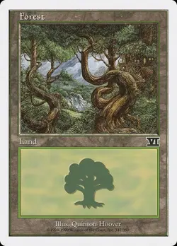 Lot of 20x Forest #347 - 6ED 6th Sixth Edition Basic Land MTG Magic PL - Image 1