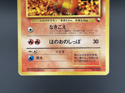 Lot 3 Charmander & Squirtle & Bulbasaur Quick Starter Gift Set MP Pokemon Card - Image 5