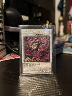 Bramble Rose Dragon - DOOD-EN039 - Secret Rare - 1st Edition - Yugioh - Image 1