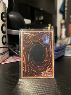 Bramble Rose Dragon - DOOD-EN039 - Secret Rare - 1st Edition - Yugioh - Image 2