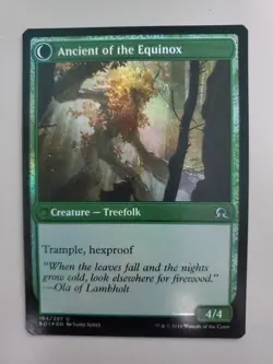 MTG Autumnal Gloom/Ancient Of The Equinox Shadows over Innistrad Foil Uncommon - Image 2