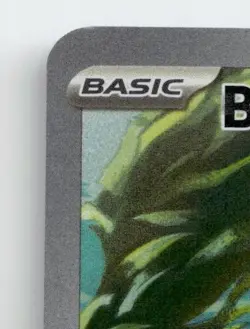 BRUXISH 200/191 ILLUSTRATION RARE SURGING SPARKS POKEMON NEAR MINT - Image 4