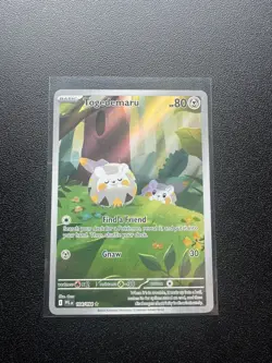Pokemon - Togedemaru - 104/094 - ME Phantasmal Flames - Illustration Rare - Image 1