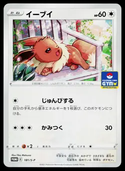 Eevee 181/S-P Gym Promo Pokemon Japanese Near Mint - Image 1