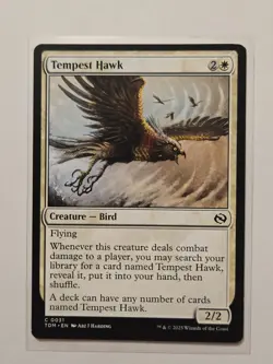 Tempest Hawk - 31 - Tarkir: Dragonstorm - NM - Creature - C - Image 1