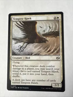 Tempest Hawk Tarkir: Dragonstorm Regular - Image 1