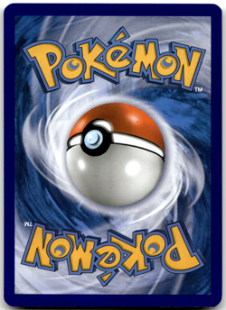 Kyogre SM129 STAFF Pre Release Promo Celestial Storm Pokemon Card NM - Image 2