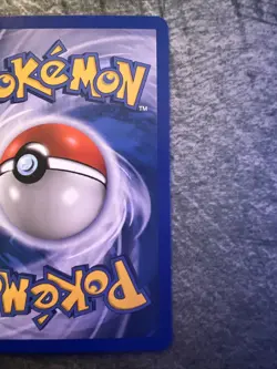 Seedot 60/100 Stamped Reverse Holo EX Crystal Guardians Pokemon Card - Image 3