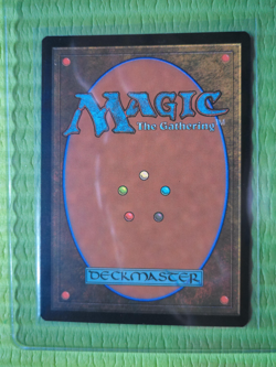 Takenuma, Abandoned Mire MTG Kamigawa: Neon Dynasty 278 Rare Regular - Image 4