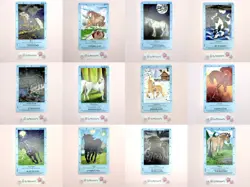 Bella Sara Northern Lights 12 Common Card Lot - Image 1