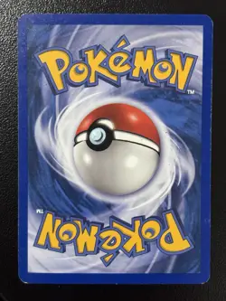 Walrein 6/95 Holo Rare Team Magma vs Team Aqua Pokemon Card MP - Image 2
