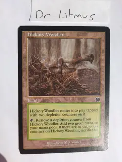 1x Hickory Woodlot Mercadian Masques MTG Great Condition - Image 1