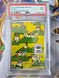 Pokemon TCG SV Obsidian Flames Pidgey 207/197 Illustration Rare Holo PSA 9 - Image 1
