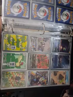 Pokemon TCG Obsidian Flames Master Set Nearly Complete Collection - Image 4