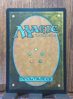 MTG Tinybones, the Pickpocket (Showcase FOIL) Outlaws of Thunder Junction NM! - Image 2