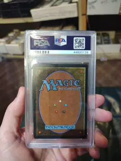 MTG Storm World Legends Regular PSA 8 Magic The Gathering NM Near Mint - Image 2