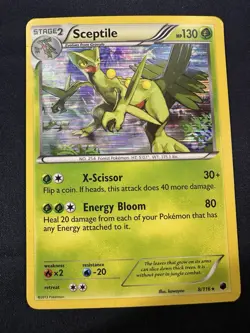 Sceptile Plasma Freeze #8 (2013) Holo MP Pokemon FREE SHIPPING - Image 1