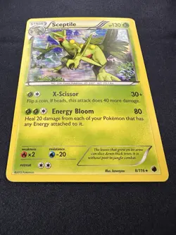 Sceptile Plasma Freeze #8 (2013) Holo MP Pokemon FREE SHIPPING - Image 3