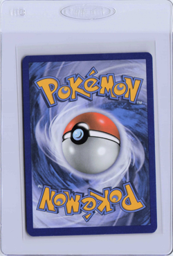 Spheal 45/160 Common Primal Clash Pokemon Reverse Holo - Image 2