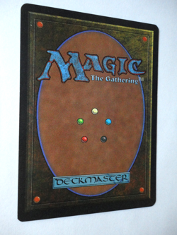 Fortified Area Legends NM Near Mint English MTG Magic the Gathering - Image 2