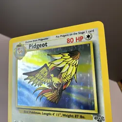Pidgeot - 8/64 Jungle Unlimited Holo Rare Pokemon - NM/LP - Image 4