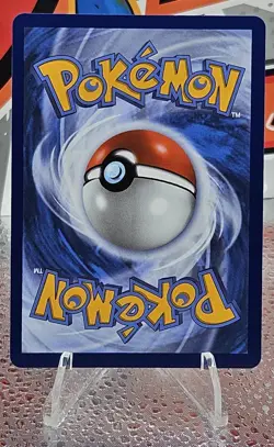 Turtwig - 040 040 Holo Promo ME: Mega Evolution Promo Pokemon NM - Image 2