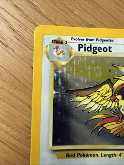 Pokemon TCG Pidgeot 8/64 Jungle Holo Rare English 1999 Wizards of the Coast - Image 2