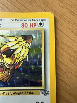 Pokemon TCG Pidgeot 8/64 Jungle Holo Rare English 1999 Wizards of the Coast - Image 3