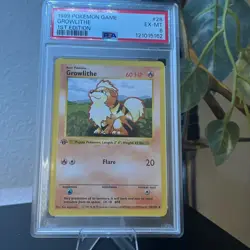 Pokemon TCG Growlithe 1st Edition Base Set Uncommon Card PSA 6 - Image 1