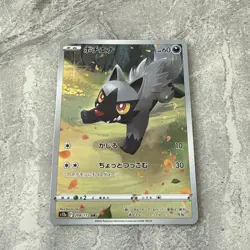 Poochyena 208/172 AR S12a VSTAR Universe Japanese Pokemon Card - NM - Image 4