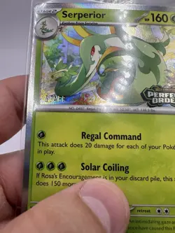 POKEMON UNGRADED PERFECT ORDER [STAFF] HOLO PACK MEGA EVOLUTION PROMO SEALED - Image 2