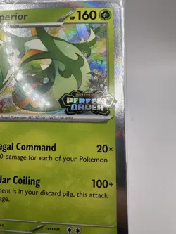 POKEMON UNGRADED PERFECT ORDER [STAFF] HOLO PACK MEGA EVOLUTION PROMO SEALED - Image 3
