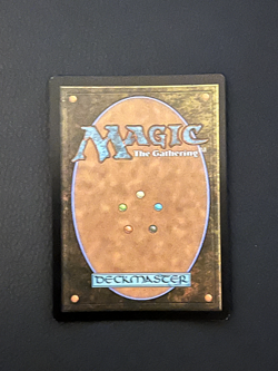 MTG Silkguard Borderless Foil NM #37 Marvel Rare Magic the Gathering - Image 2