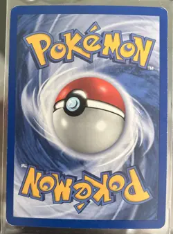 Pokemon - Mudkip 018 Holo Foil Black Star Promo MP - Image 2