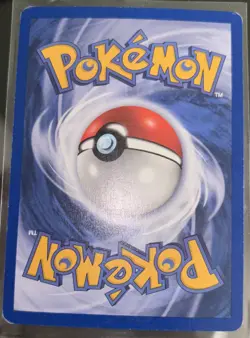 Pokemon - Mudkip 018 Holo Foil Black Star Promo MP - Image 3