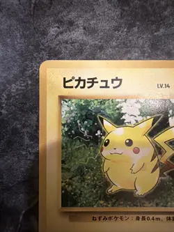 Pikachu Pokemon Jungle Regular (Japanese) - Image 2