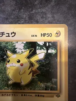 Pikachu Pokemon Jungle Regular (Japanese) - Image 3