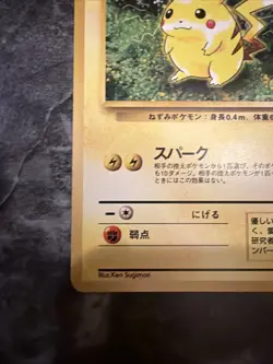 Pikachu Pokemon Jungle Regular (Japanese) - Image 5