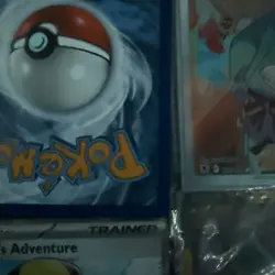 Pokemon Gym Trainer 191/195 Silver Tempest NM - Image 4