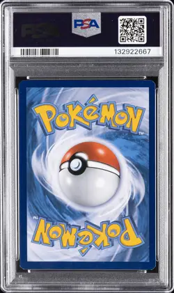 2022 POKEMON SWSH BLACK STAR PROMO COLLECTOR BUNDLE/CHEST CYNDAQUIL-HOLO PSA 7 - Image 2
